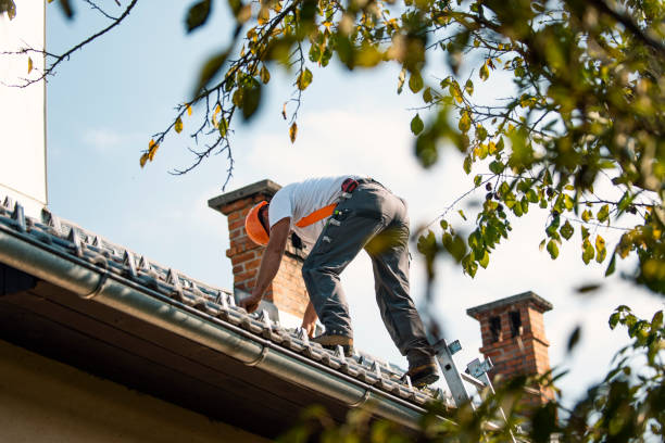 Best Best Roofing Contractors  in Carlyle, IL