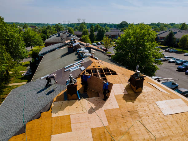 Best Storm Damage Roof Repair  in Carlyle, IL