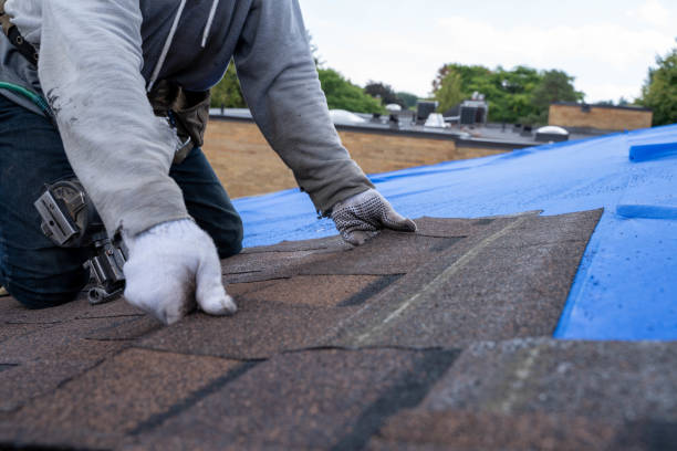 Best Local Roofing Companies  in Carlyle, IL