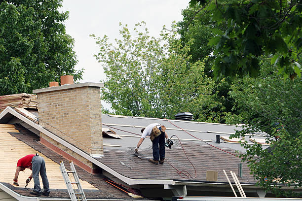 Best Storm Damage Roof Repair  in Carlyle, IL