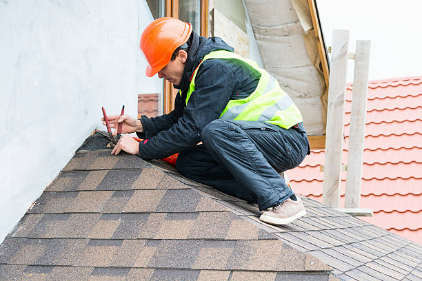 Roof Gutter Cleaning in Carlyle, IL
